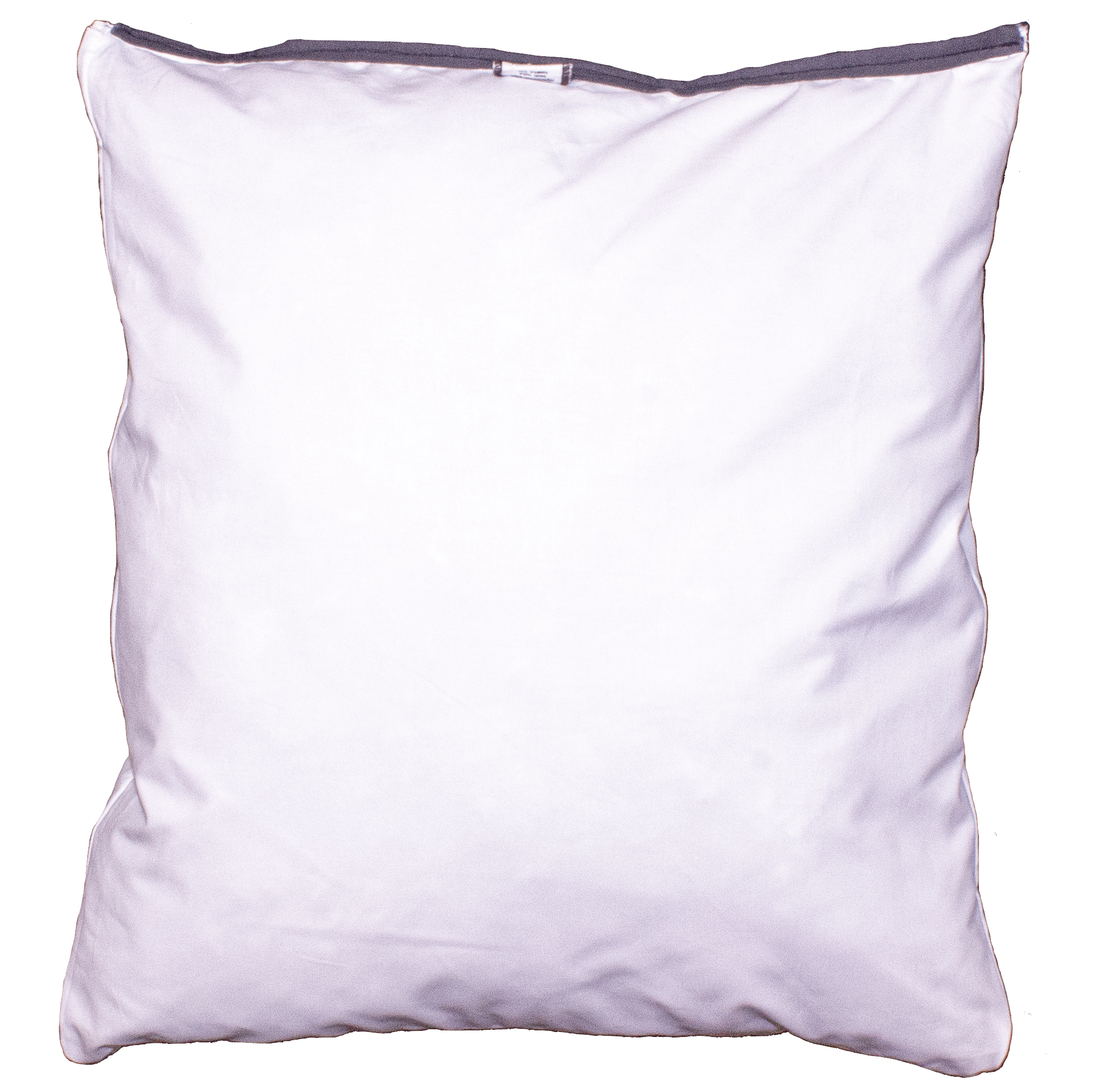 Chinoise Throw Pillow