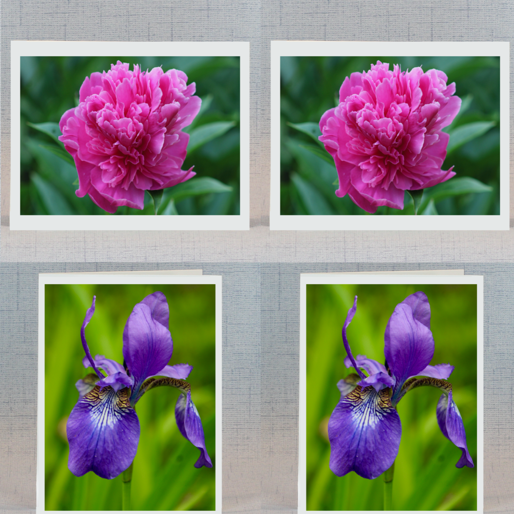 Note cards with iris and peony