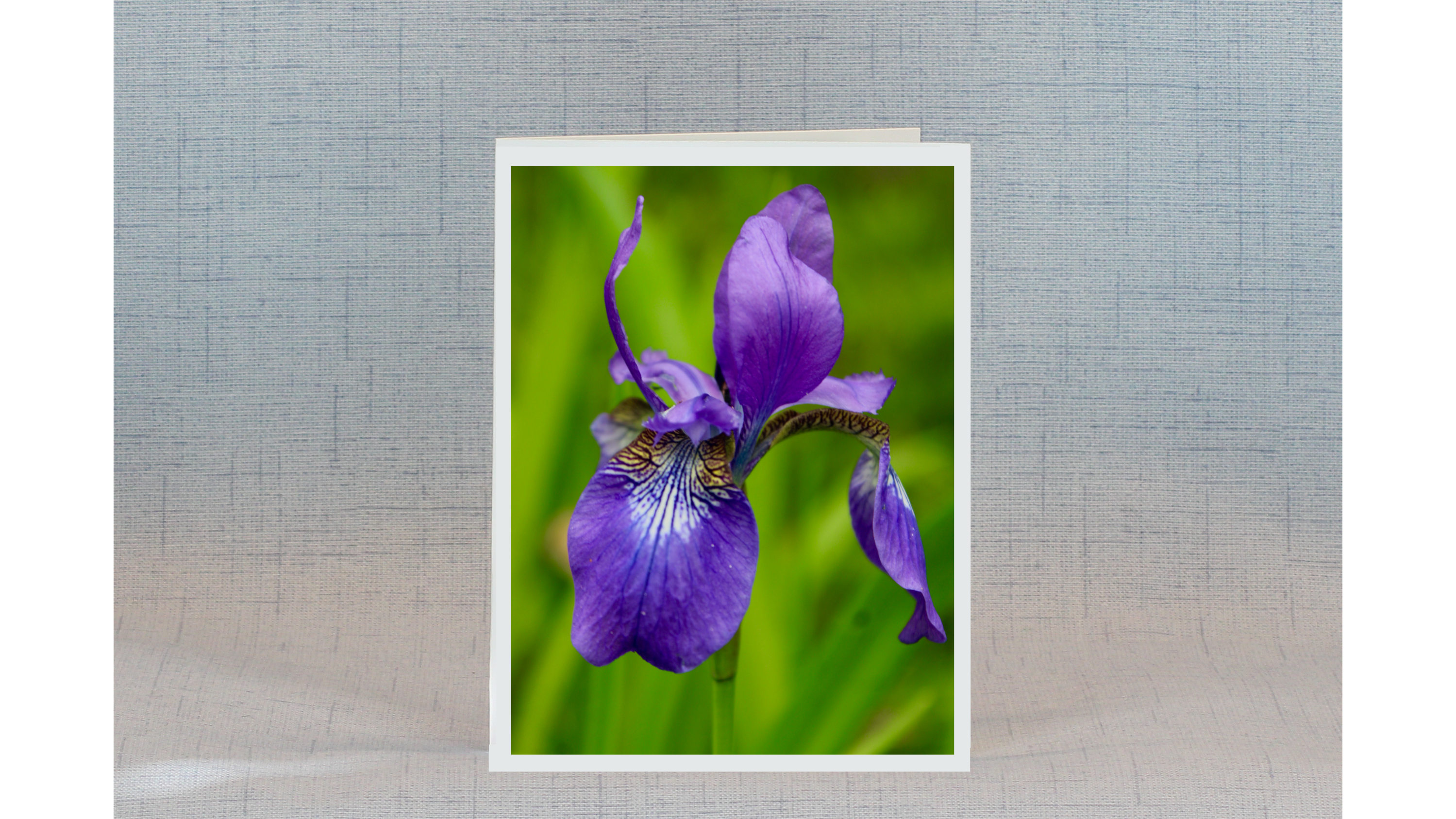Caledonia Spring Flower Card Set